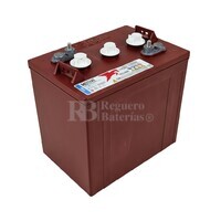 Batera TROJAN T-105 | 6 Voltios 225 Amperios